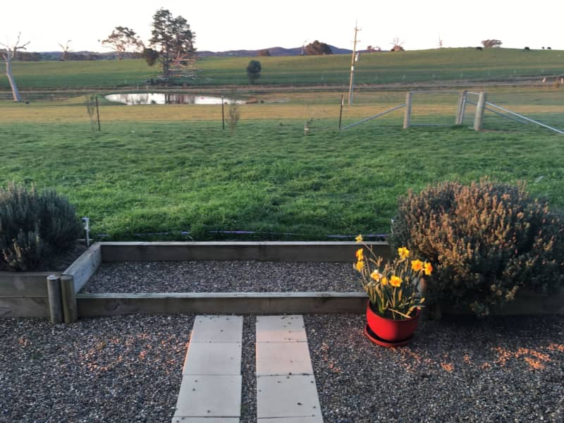 Housesitting assignment in Yass, New South Wales, Australia