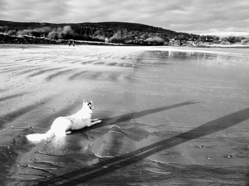 Housesitting assignment in Rathmullan, Ireland