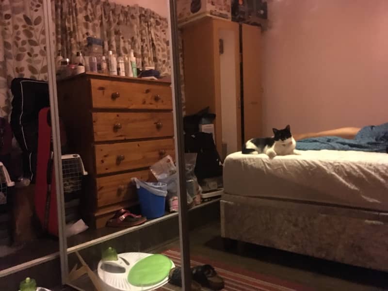 Housesitting assignment in Southend-on-Sea, United Kingdom