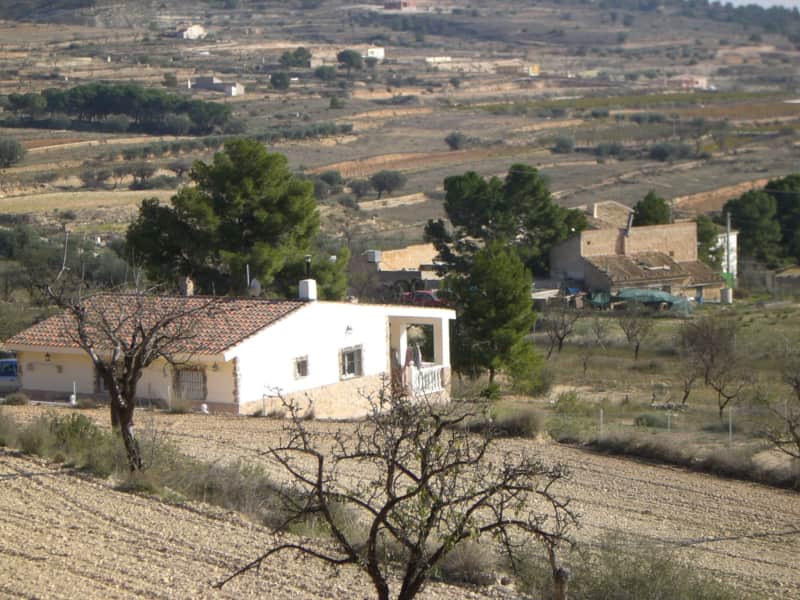 Housesitting assignment in La Romana, Spain