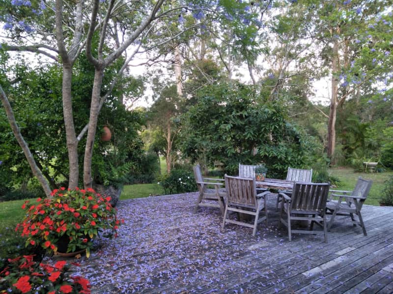 Housesitting assignment in Port Macquarie, New South Wales, Australia