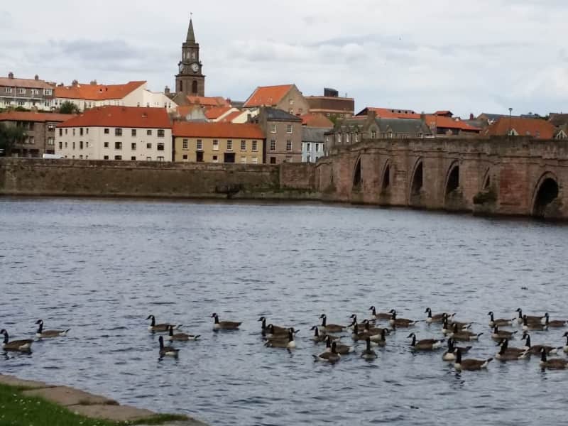 Housesitting assignment in Berwick-Upon-Tweed, United Kingdom