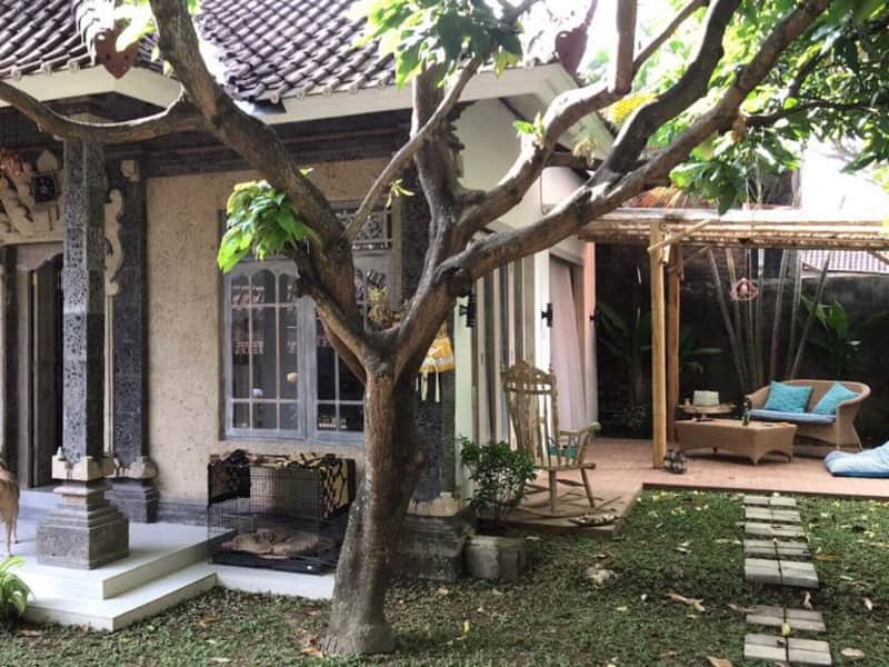 Housesitting assignment in Negara, Indonesia