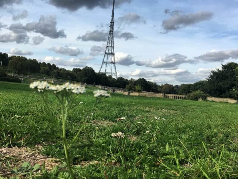 Housesitting assignment in Crystal Palace, United Kingdom