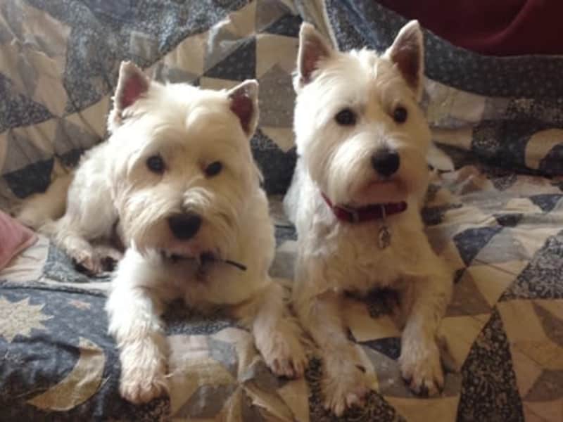 Teresa from Cambridge, United Kingdom