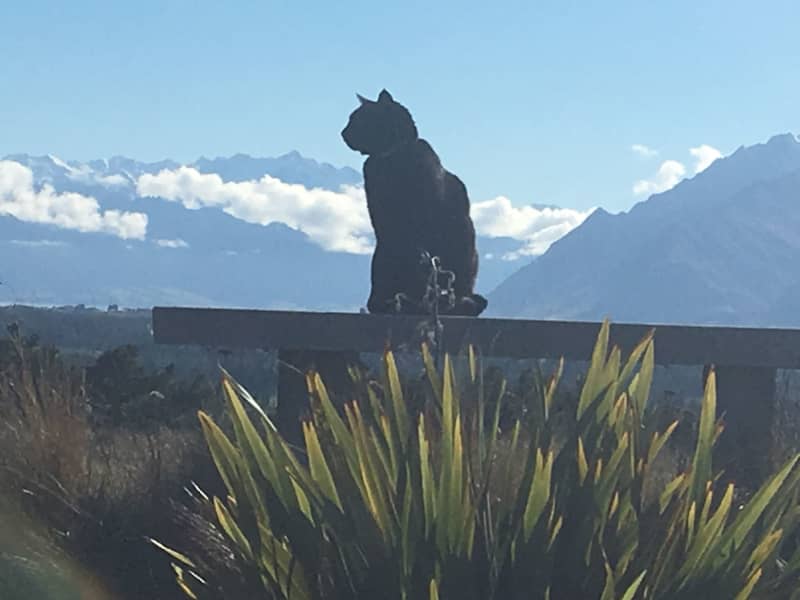 Housesitting assignment in Hawea Flat, New Zealand