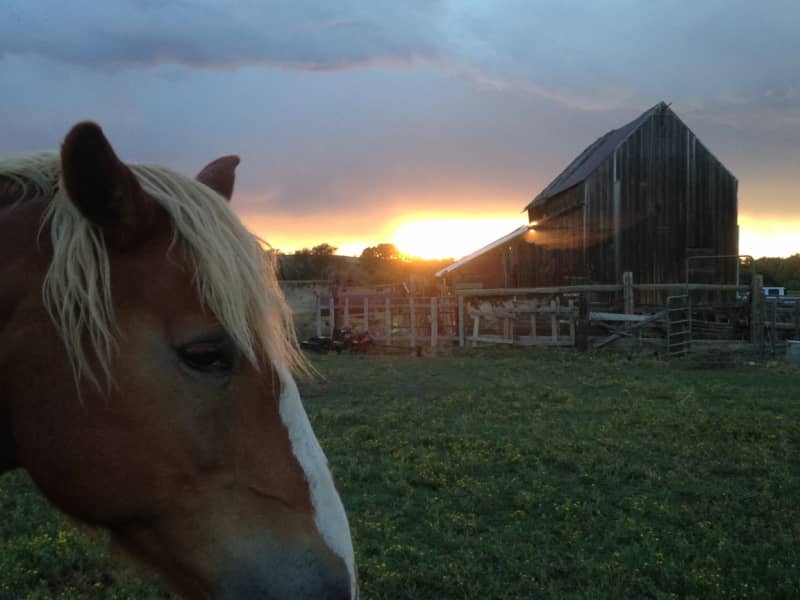 Housesitting assignment in Uintah, Utah, United States