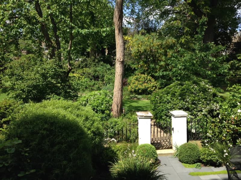 Housesitting assignment in West Holland Park, United Kingdom