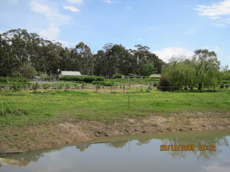 Housesitting assignment in Birregurra, Victoria, Australia