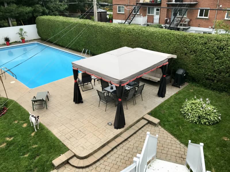 Housesitting assignment in Longueuil, Quebec, Canada