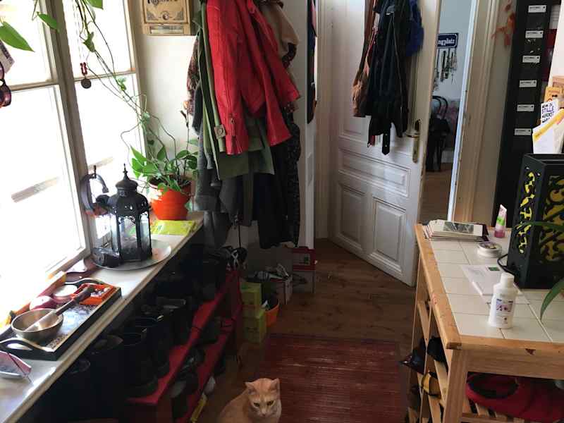 Housesitting assignment in Vienna, Austria