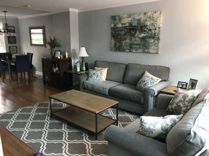 Housesitting assignment in Shirlington, Virginia, United States
