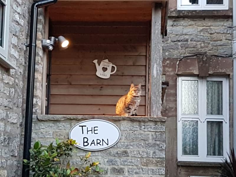 Housesitting assignment in Ditcheat, United Kingdom