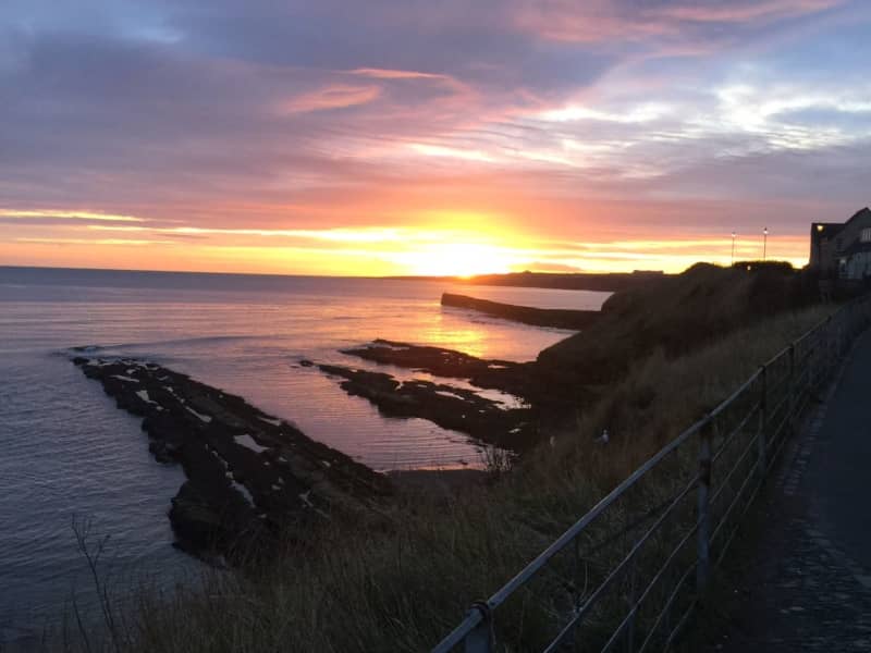 Housesitting assignment in Edinburgh, United Kingdom