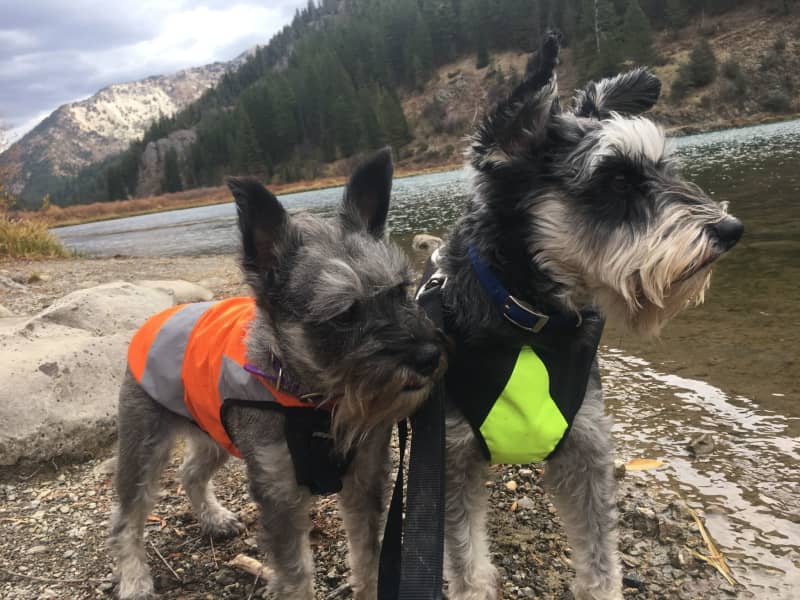 Cristy from Idaho Falls, Idaho, United States