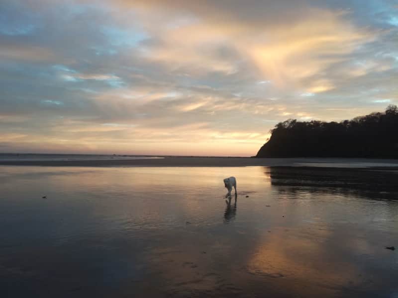 Housesitting assignment in Sámara, Costa Rica