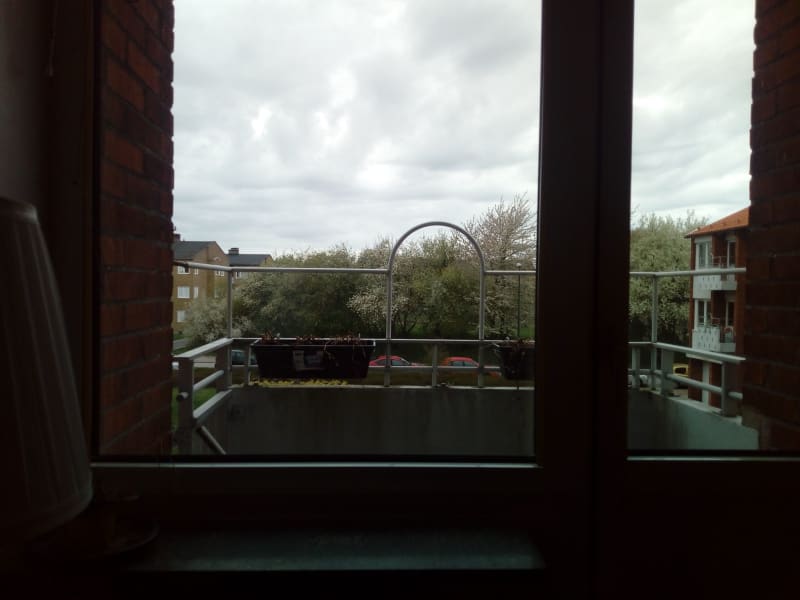 Housesitting assignment in Malmö, Sweden