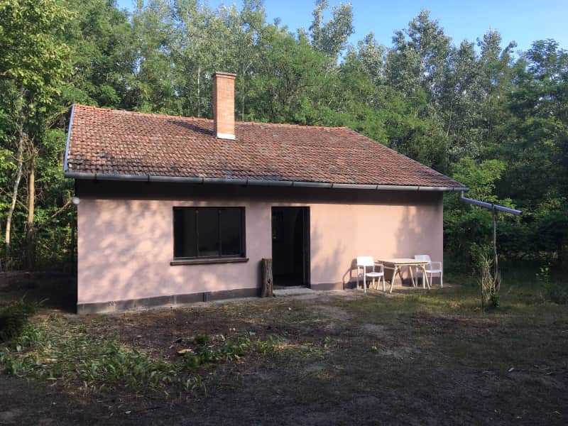 Housesitting assignment in Zsana, Hungary