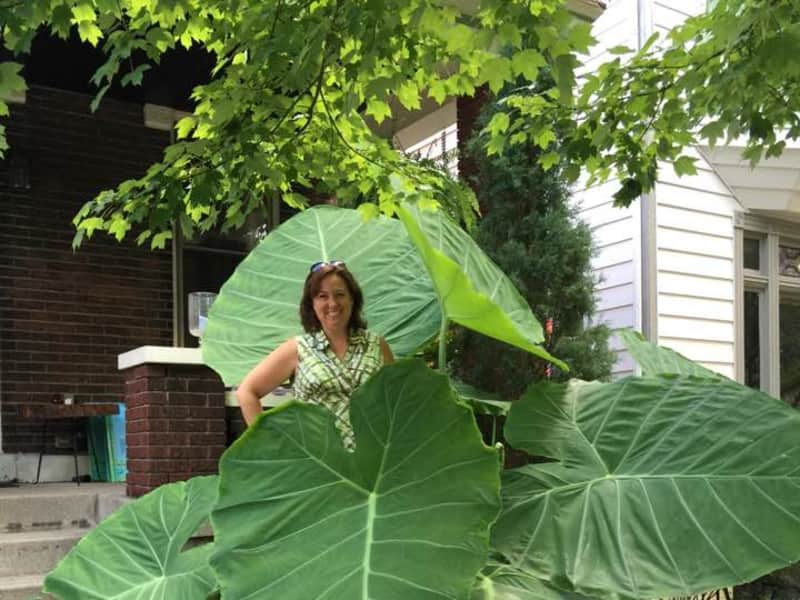 Rachel from Cincinnati, Ohio, United States