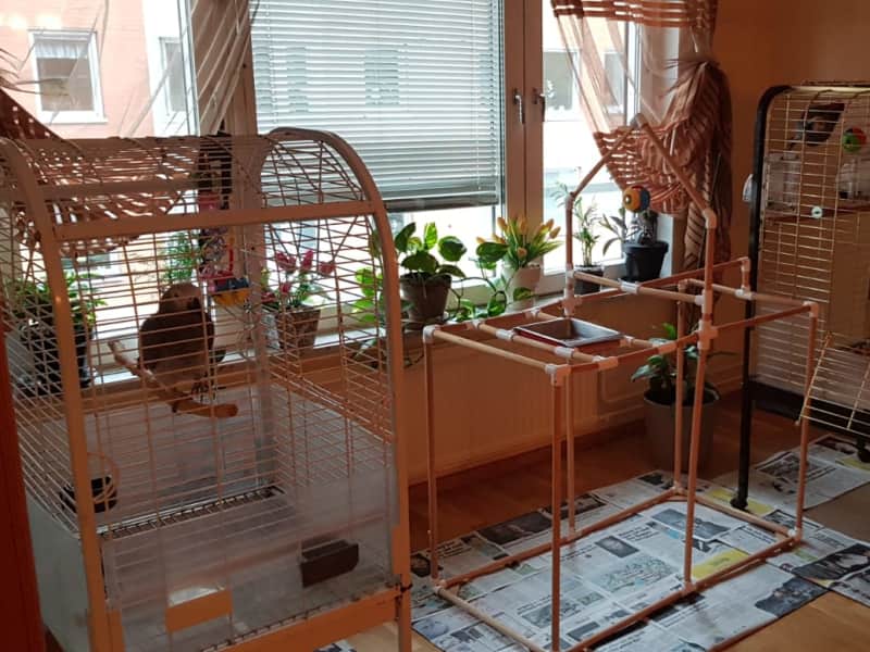 Housesitting assignment in Malmö, Sweden