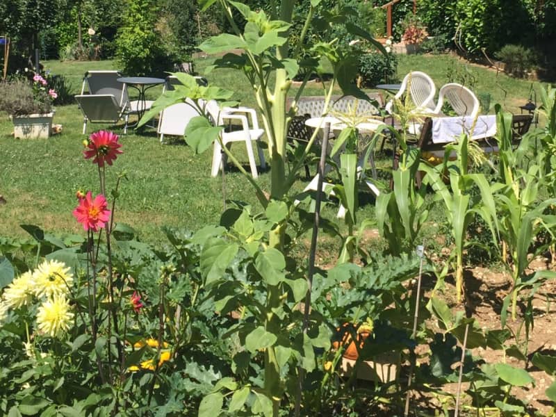 Housesitting assignment in Genève, Switzerland