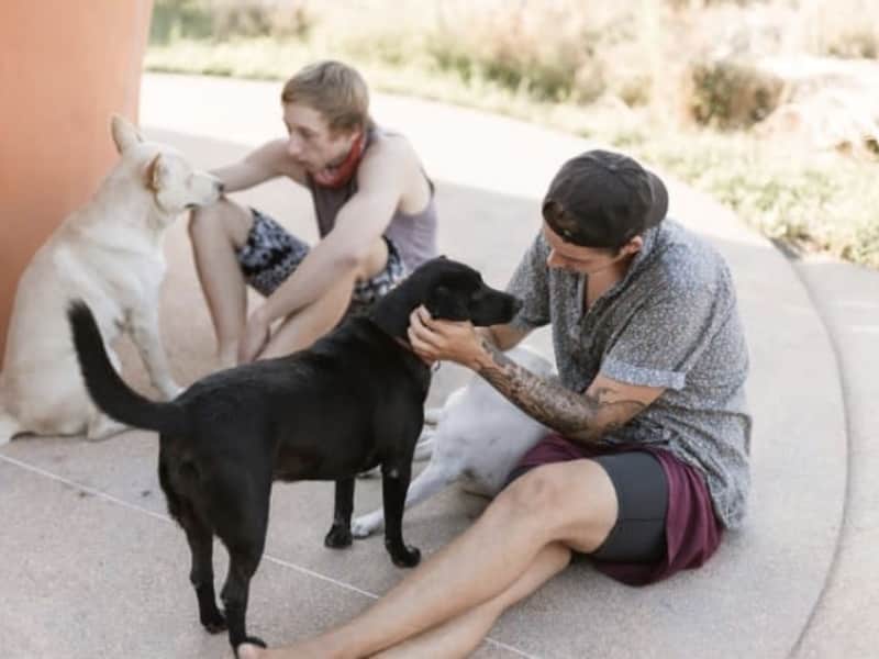 Caleb & Jake from Newmarket, Ontario, Canada