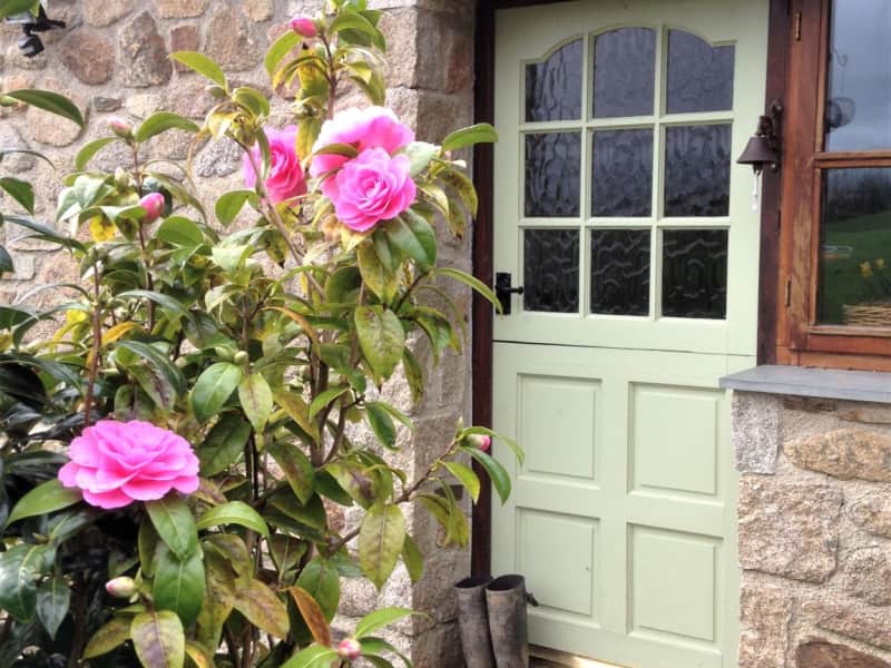Housesitting assignment in Liskeard, United Kingdom