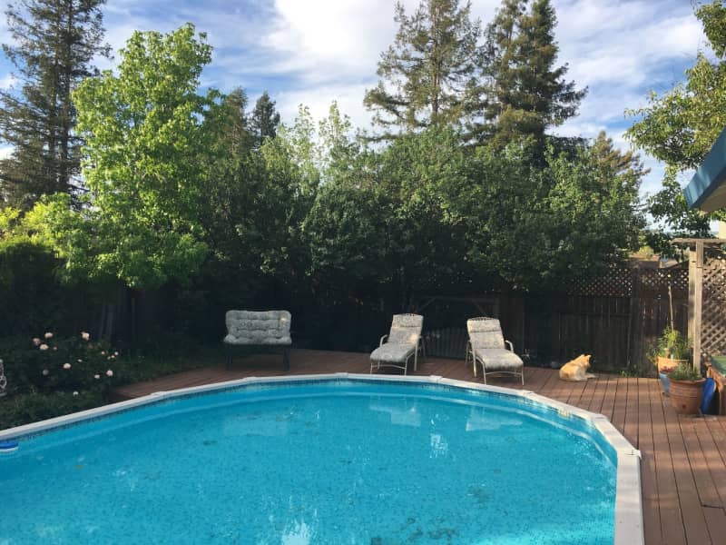 Housesitting assignment in Petaluma, California, United States
