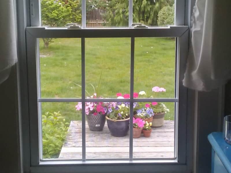 Housesitting assignment in South Portland, Maine, United States