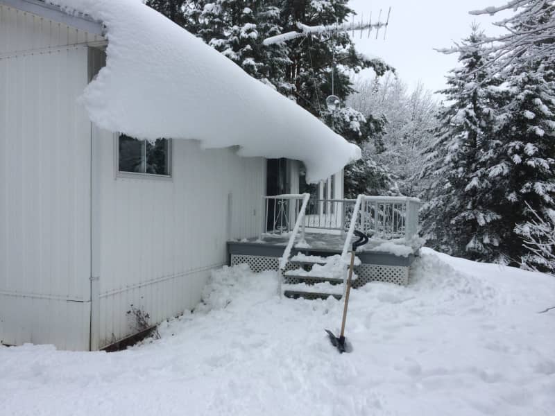 Housesitting assignment in Moe's River, Quebec, Canada