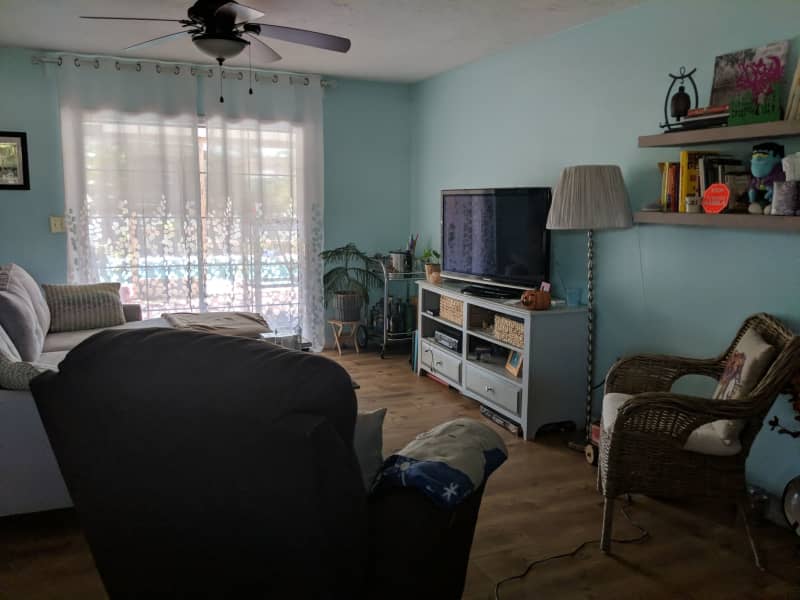 Housesitting assignment in Sarasota Springs, Florida, United States