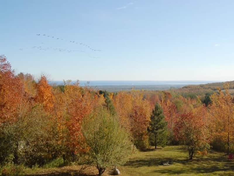Housesitting assignment in Blue Mountains, Ontario, Canada