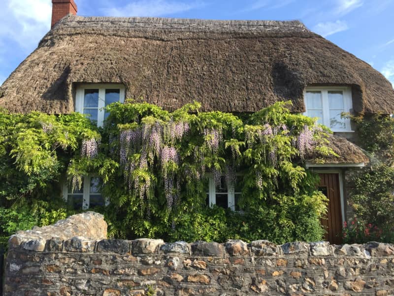 Housesitting assignment in Hemyock, United Kingdom