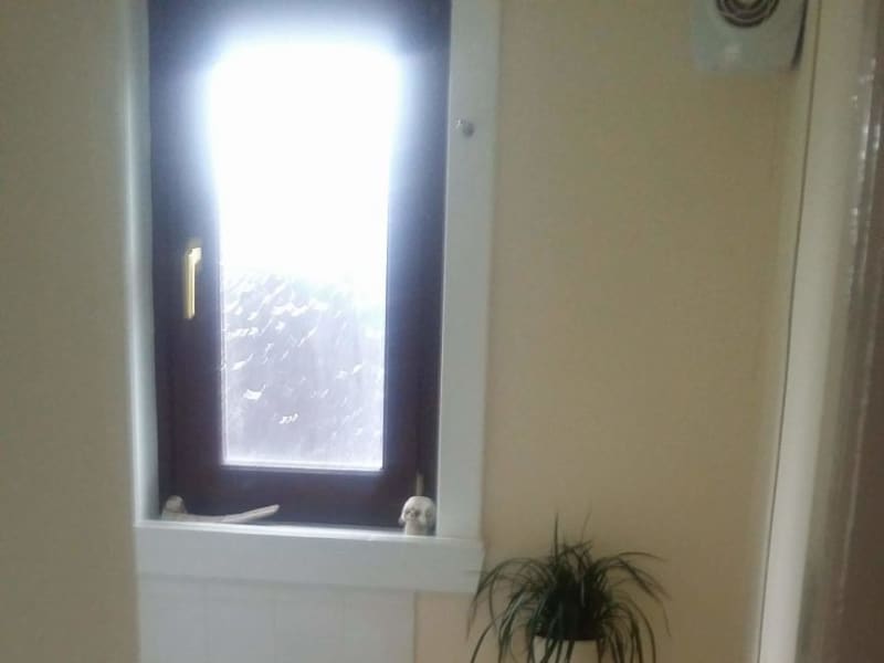 Housesitting assignment in Dunfermline, United Kingdom