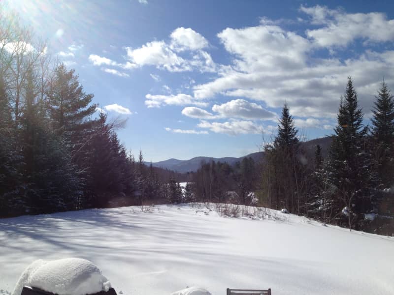 Housesitting assignment in Hardwick, Vermont, United States