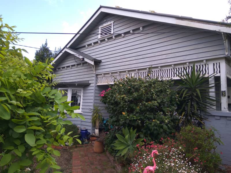 Housesitting assignment in Coburg, Victoria, Australia