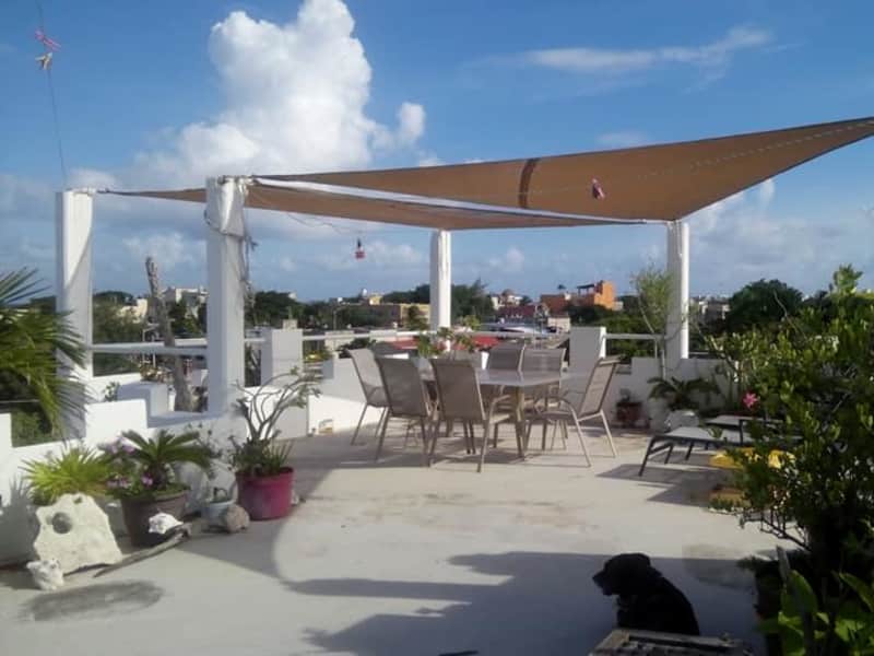 Housesitting assignment in Playa del Carmen, Mexico