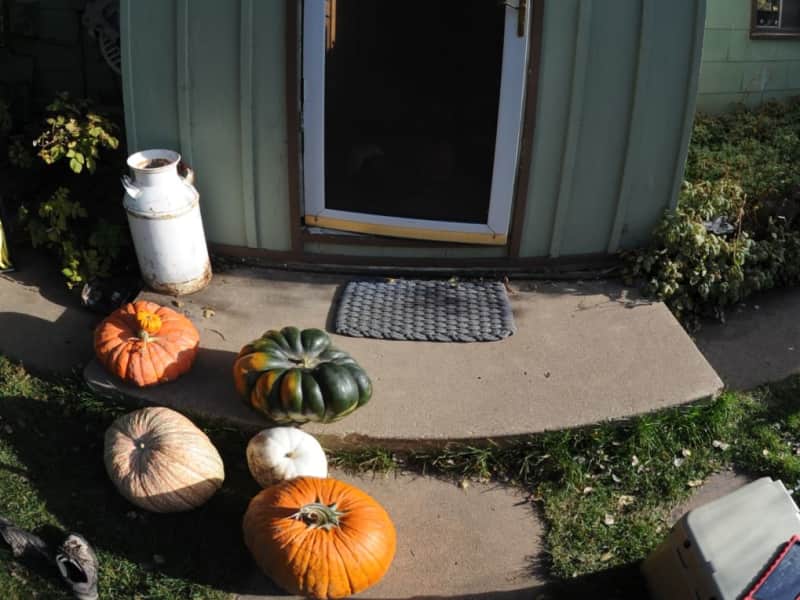Housesitting assignment in Henefer, Utah, United States