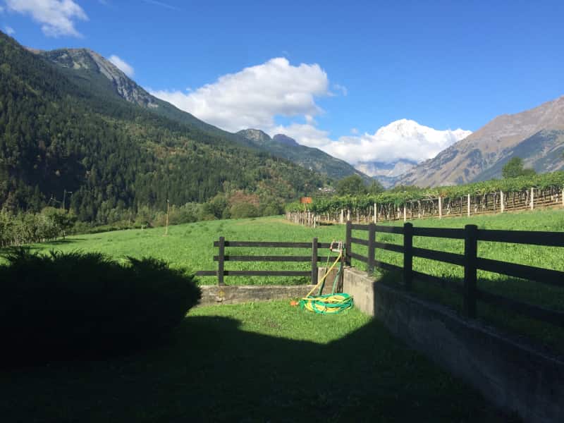 Housesitting assignment in La Salle, Italy