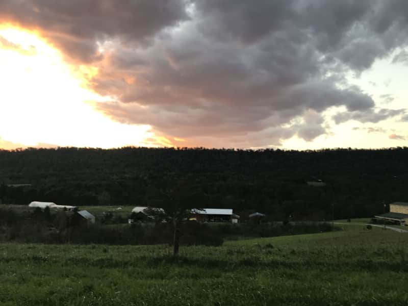 Housesitting assignment in Warfordsburg, Pennsylvania, United States