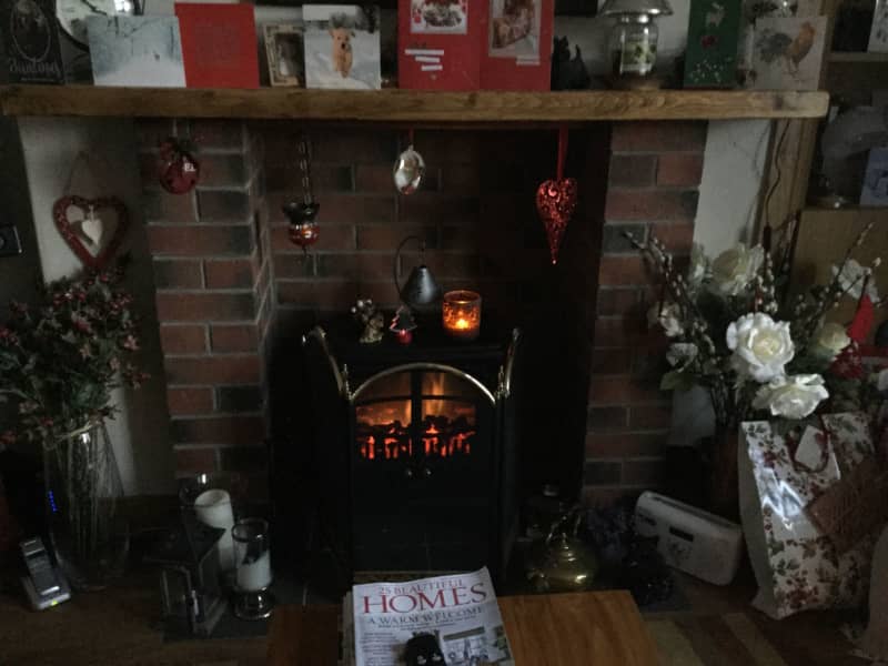 Housesitting assignment in Dundee, United Kingdom