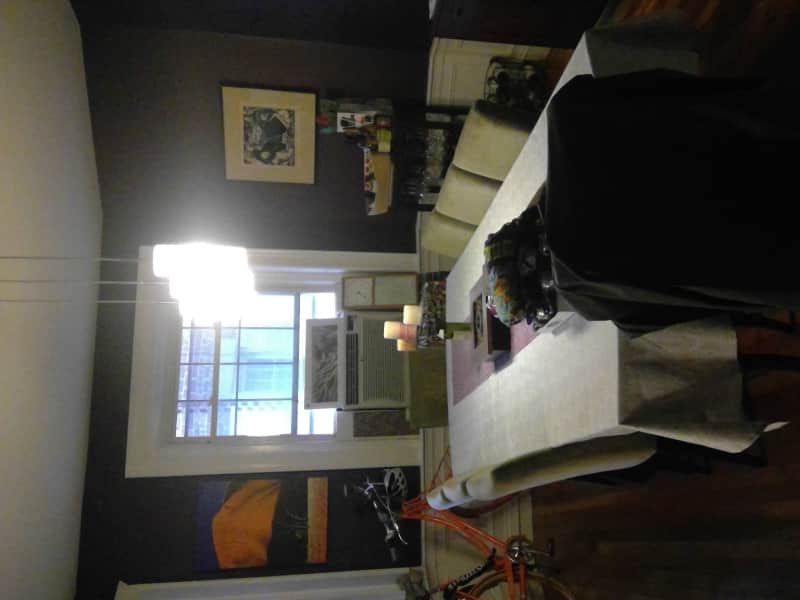 Housesitting assignment in Brookline, Massachusetts, United States