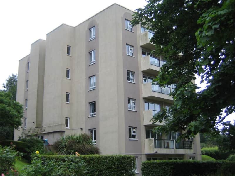 Housesitting assignment in Torquay, United Kingdom