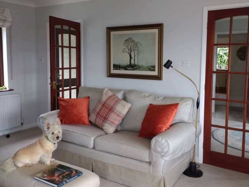 Housesitting assignment in Saundersfoot, United Kingdom
