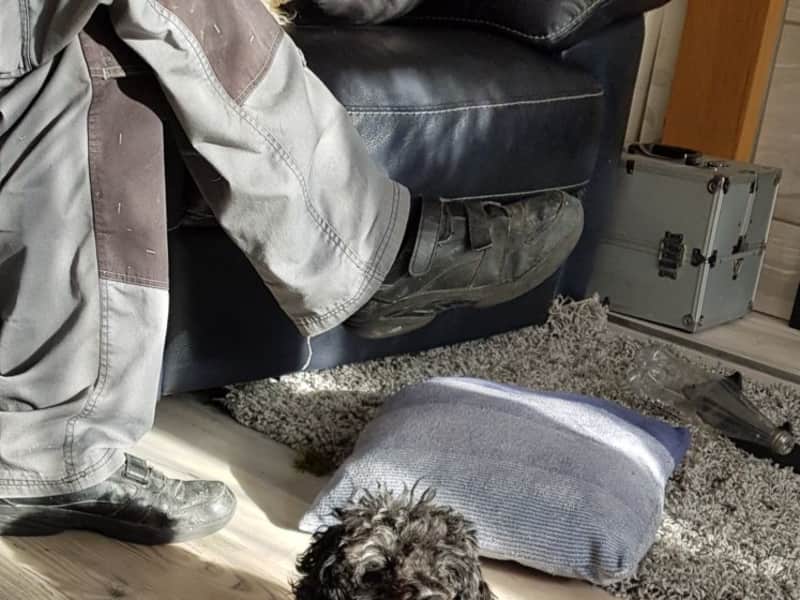 Housesitting assignment in Stockport, United Kingdom
