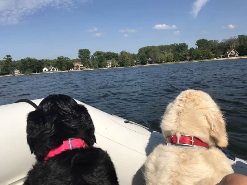 Housesitting assignment in Sturgeon Bay, Wisconsin, United States