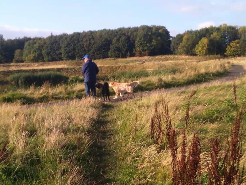 Housesitting assignment in Glenrothes, United Kingdom