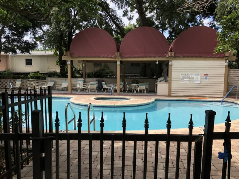 Housesitting assignment in Tampa, Florida, United States