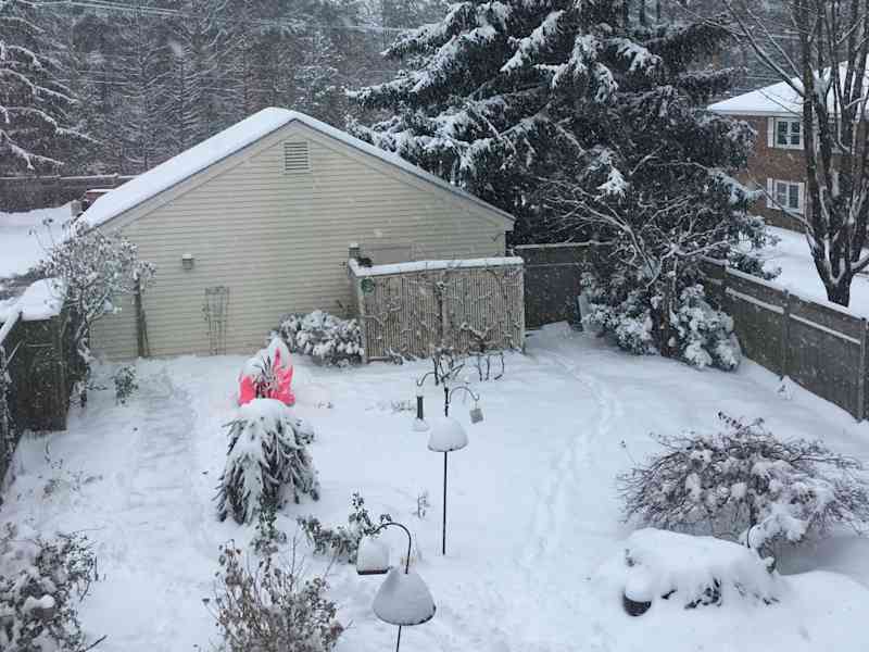 Housesitting assignment in Burlington, Vermont, United States