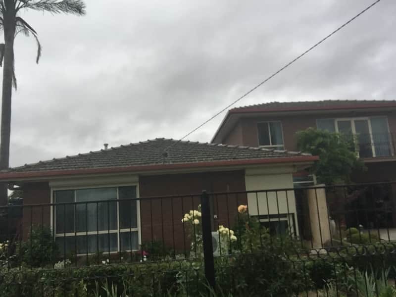 Housesitting assignment in Heyfield, Victoria, Australia